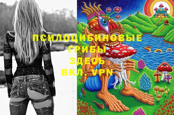 марки lsd Кинешма