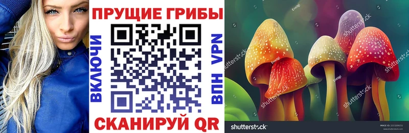 Псилоцибиновые грибы Cubensis  Купить закладки  Саяногорск 